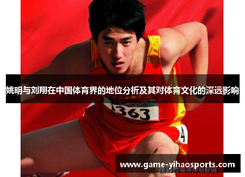 姚明与刘翔在中国体育界的地位分析及其对体育文化的深远影响