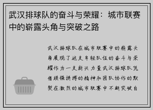 武汉排球队的奋斗与荣耀：城市联赛中的崭露头角与突破之路