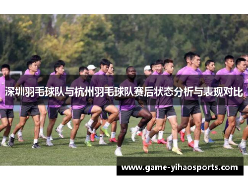 深圳羽毛球队与杭州羽毛球队赛后状态分析与表现对比