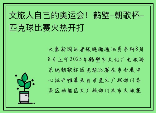 文旅人自己的奥运会！鹤壁-朝歌杯-匹克球比赛火热开打